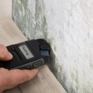 Mold Testing