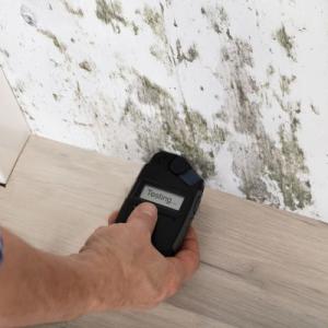 Mold Assessment